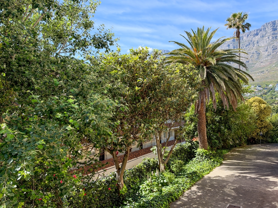 3 Bedroom Property for Sale in Gardens Western Cape